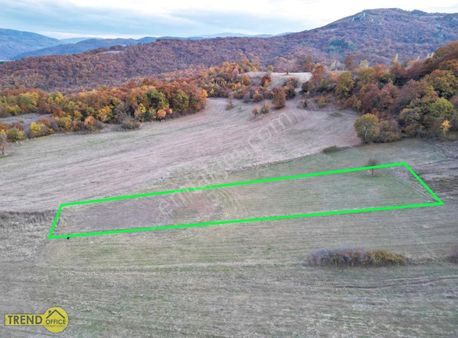 Mustafakemalpaşa Yenice Mah. 1300 M2 Satılık Tarla