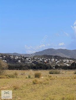 Bodrum Mumcular'da Tek Tapu 572 M2 Tarla