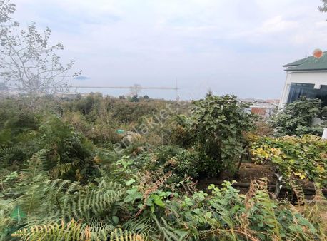 Delta Gayrimenkul'den Keşap Güneyköy De İmarlı Fırsat Arsalar!