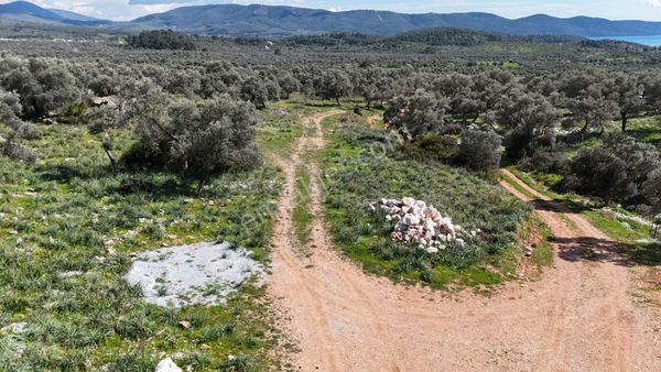 Muğla / Milas / Kazıklıda Satılık Deniz Manzaralı Tarla