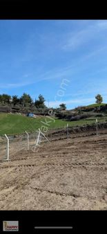 Karaısalı Topaktaş'ta Hobi Bahçesine Uygun Etrafı Çevrili Arsa