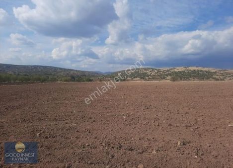 Kızılcahamam Çeştepe Köyünde Yatırımlık Tarla