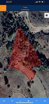 Temenos'tan Durağan'da Flaş Tarla