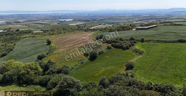 Real'den Bandırma Erikli Mahallesinde Satılık Tarım Arazisi