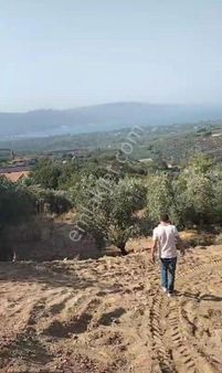 Real'den Erdek Hamamlı Mahallesinde Satılık Tarla