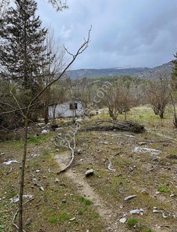 Kumluca Yenikışla'da Satılık 17 Dönüm Bağ Evi Mevcut Fırsat Yer