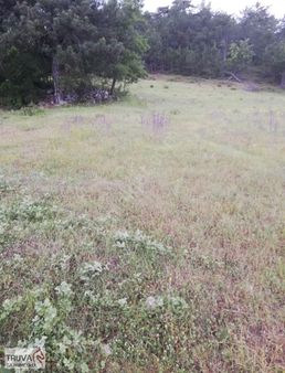 Truva Gayrimenkulden Bilecik Osmaneli Belenalan Da 7660m2 Fırsat