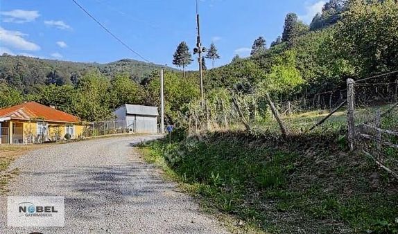 Yatırımlık Yol Kenarı 10 Dönüm Fındıklık Düzce Gölyaka
