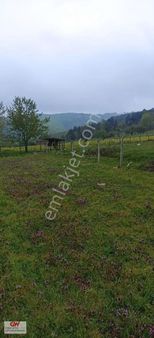 İznik Sansarak Köyünde Satılık Arazi