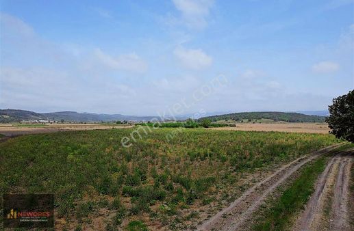 Sakarya Söğütlü 17 Dönüm Arazi