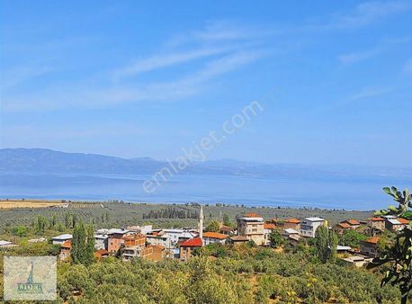 Bursa Orhangazi Heceler Mah.eşsiz Göl Manzaralı 3162m2 Zeytinlik