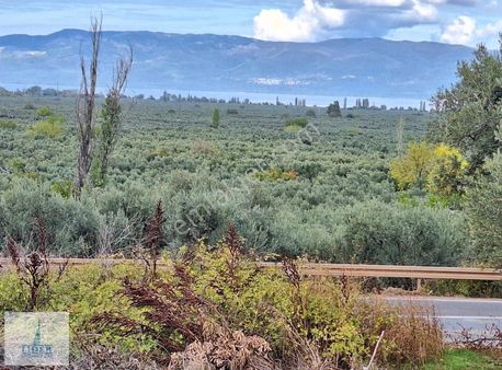 Bursa Orhangazi Sölöz Mah. İmar Rezervinde 1500m2 Arsa