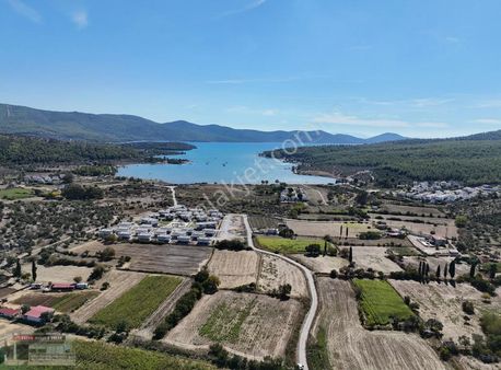 Muğla Milas Kazıklı Koyuna 300 Metre Mesafede 6 Dönüm Tarla