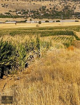 Burdur'da Satlık Tarla Acil