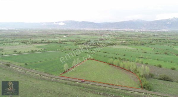 Mona'dan Pınarönü Köyünde Büyük Fırsat! Satılık 10.362m² Tarla!