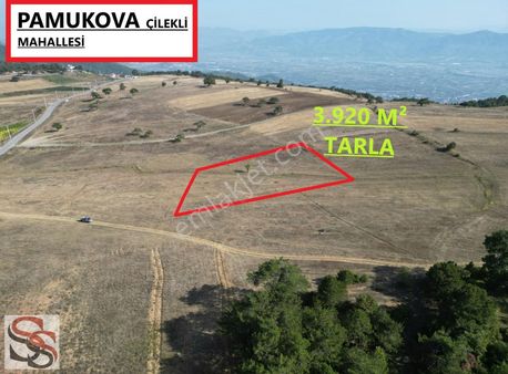 P.ova Çilekli Köyünde Harika Konumda 3.920 M² Yatırımlık Tarla