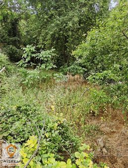 Geyve Koru Köyü Satılık 278 M2 Yola Cepheli %40 İmarlı Arsa