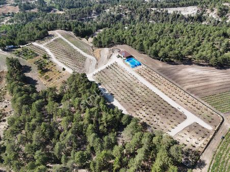 Bsm'den Muhtesem Doga Harìkası Hobby Bahçesí