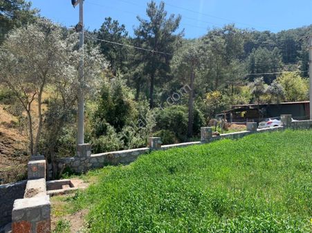 Dalyan Gökbelde 678 M2 Hisse Satılık