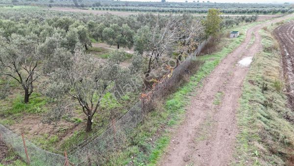 Bölcek Mahallesi'nde 6576 M2 İki Yol Cepheli Tarla Satışta