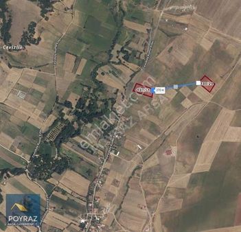 Poyrazdan Kırklareli Cevizköyde Satılık Tarla