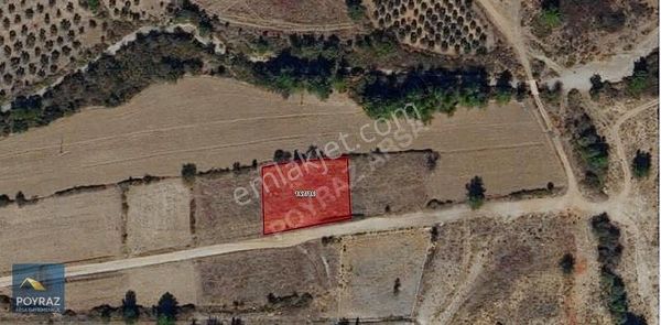 Poyrazdan Muğla Geveneste Satılık Tarla