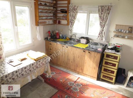 Torbalı Karakuyu | 3.452m2 Tarla Zeytinlik İçinde 1+1 Ev Fırsatı