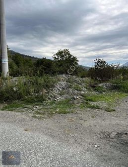 Bf Grouptan Akyazı Dokurcun Beycilerde Satılık Fındık Bahçesi