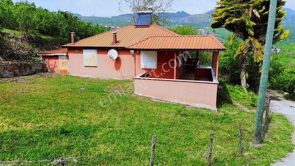 Ulu Gayrimenkul-akpınar Mah+ Satılık 22 Dönüm Fındık Bahçesi+ev