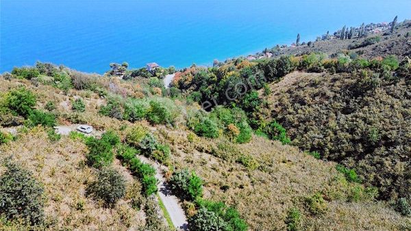 Ulu'dan Ordu Perşembe Dereiçi Mahallesinde 4078m2 Satılık Bahçe