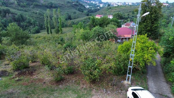 Ulu'dan Ordu Perşembe Efirlide Deniz Manzaralı Satılık Bahçe