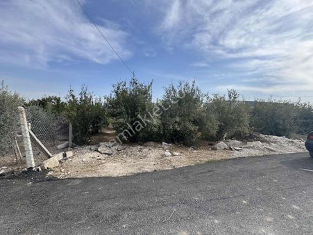 Demirhan Emlaktan 250 M2 Ev /iş Yerine Uygun Arsamız Satılık