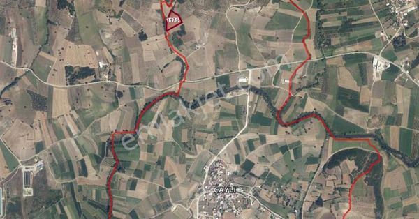 Nilüfer Çaylı 'da 9.150 M2 Tek Tapu Arazi