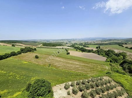 Nilüfer Çaylı 'da 17.500 M2 Tek Tapu Arazi