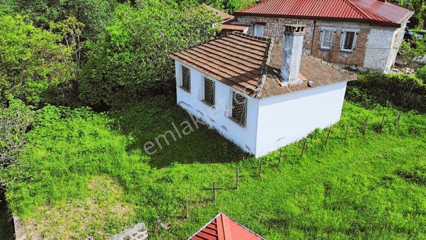 Şok Fiyat!!!!! 3869m² Satılık Ev Ve Fındık Bahçesi