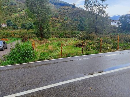 Ulu Gayrimenkul Den Turnasuyu Mah. 848 M2 Arsa