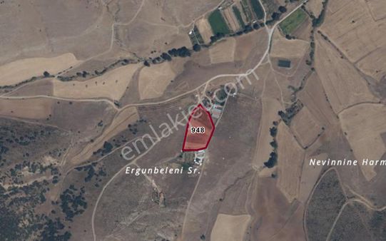 Sarayönü Bahçesaray'da 1580 M² İntikal Tapulu Tarla