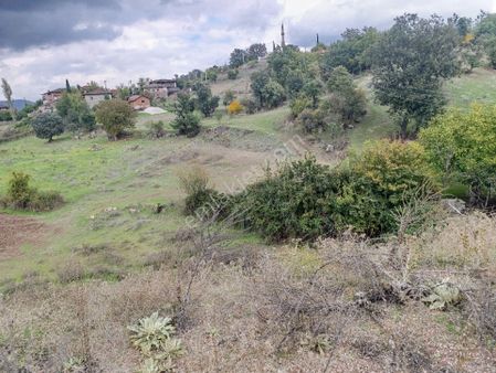 Manisa Selendi Havaoğlu Köyunde Satılık Bahçe