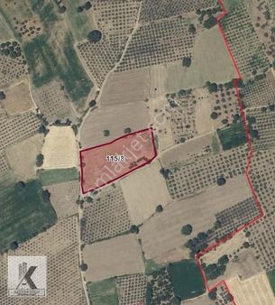 Havaalanı Ve İzmir Çanakkale Yoluna Yakın Ovadan Tarla