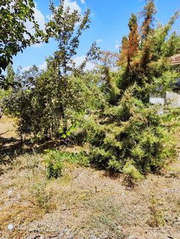 İbecik Köy İçi 1028 M² İki Parsel Müstakil Tapulu Evli Bahçe