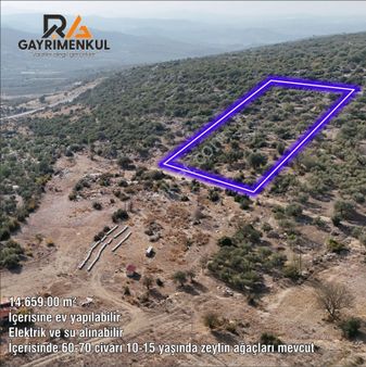 Ra Gayrimenkul Meşelik Mah. 14.659 M Satılık Tarla Ve Zeytinlik