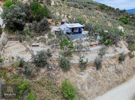 Bursa Manzaralı Satılık 819m2 Zeytinlik (hobi Bahçesi)