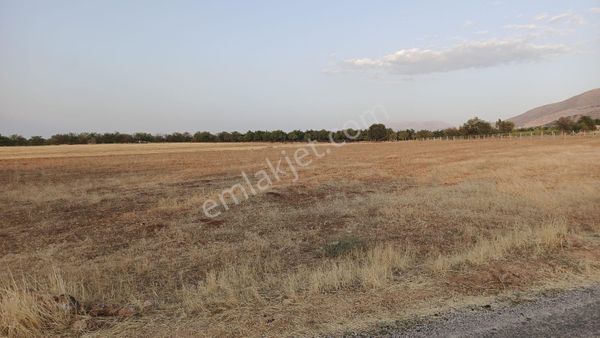 Cafana Mahallesinde Gelecek Vaat Eden Yatırımlık Tarla