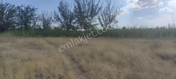 Cska Gayrimenkul'den Yazıhan Dedekargın'da Satılık Bahçe