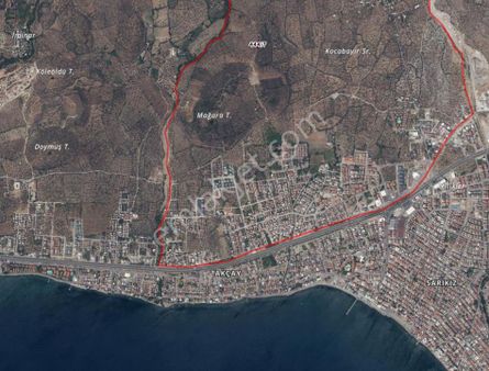 Edremit Kızılkeçili Tek Tapu Denize 2 Km Yola Cephe Zeytinlik