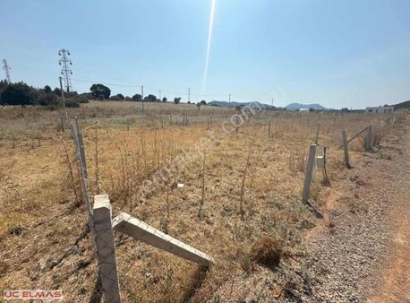 Üç Elmastan Müthiş Fiyat Gümüldür Yolu Üzeri 250 M² Süper Bahçe