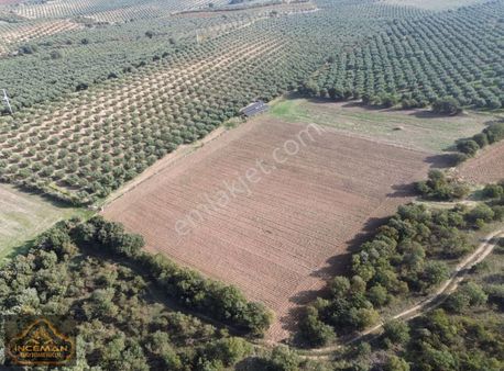 11.532m2 Verimli Tarla