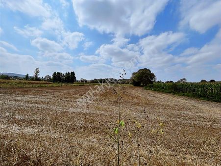 Şükran Gayrimenkul'den Salmanlı Da Yola 150m Satılık Tarla