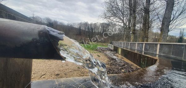 Bursa Nilüfer Korubaşı'nda 572m2 Tek Tapu Köye Yakın Arazi