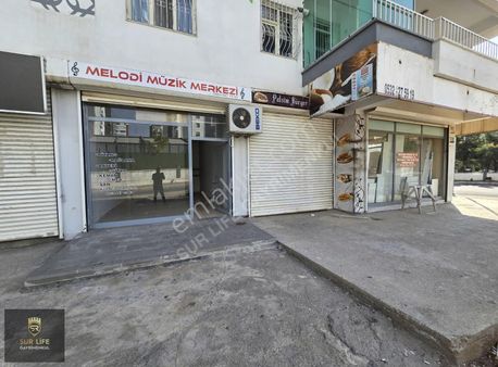 Lunapark Karşısı Aziz Sancar Kütüphanesi Arkası Kiralık Daire